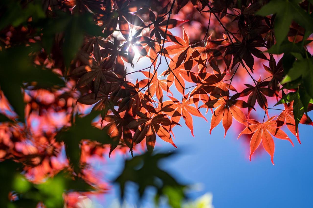 清境英格曼花園民宿 Renai Dış mekan fotoğraf