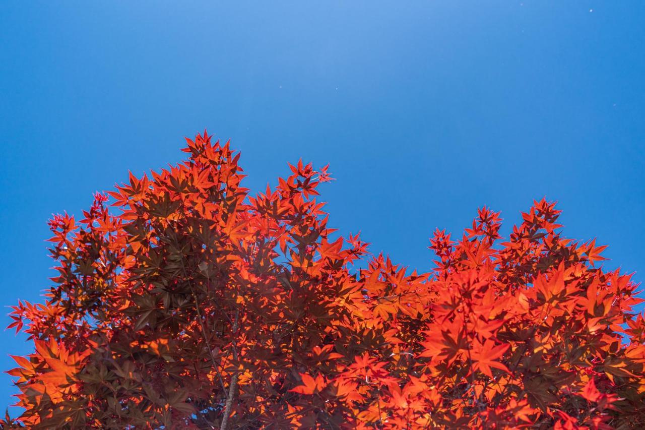 清境英格曼花園民宿 Renai Dış mekan fotoğraf